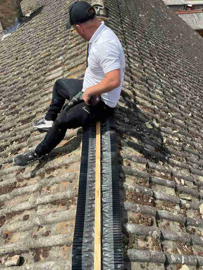 Local Roofer
