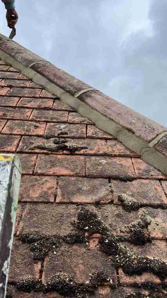 Emergency Roofer